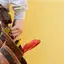 Handyman repair service in Irvine, CA for home fixes and improvements